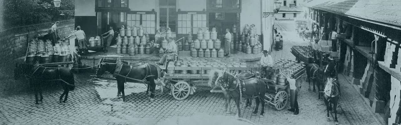 Nestlé skąd pochodzi? Odkryj fascynującą historię tej marki